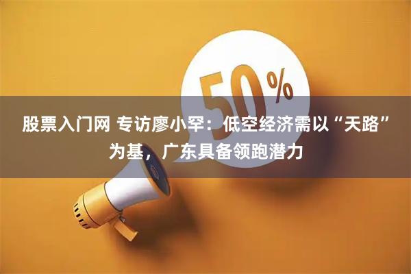 股票入门网 专访廖小罕：低空经济需以“天路”为基，广东具备领跑潜力
