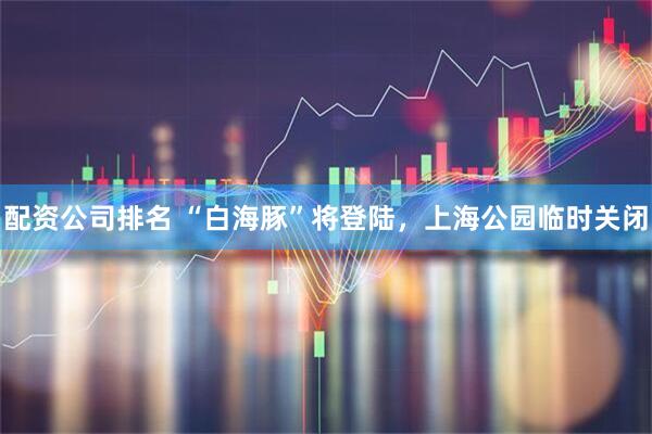 配资公司排名 “白海豚”将登陆，上海公园临时关闭